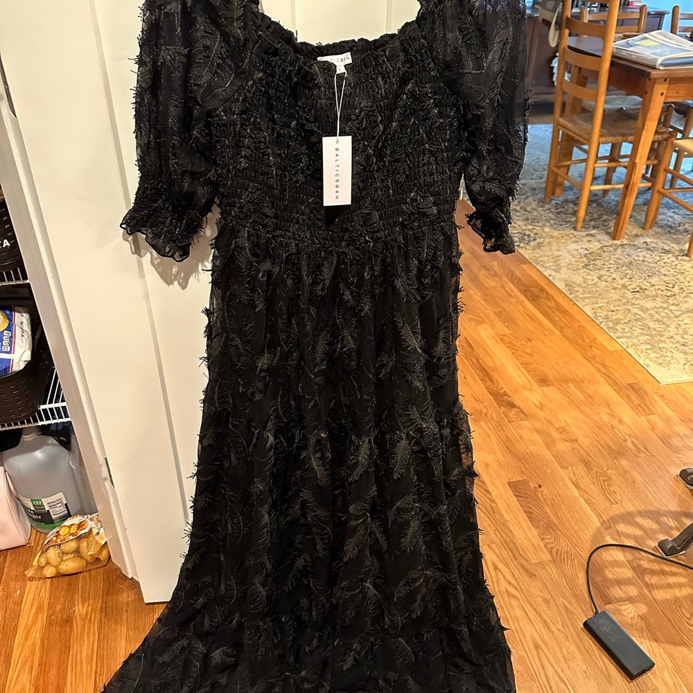 Baltic Born Feathered Maxi Dress